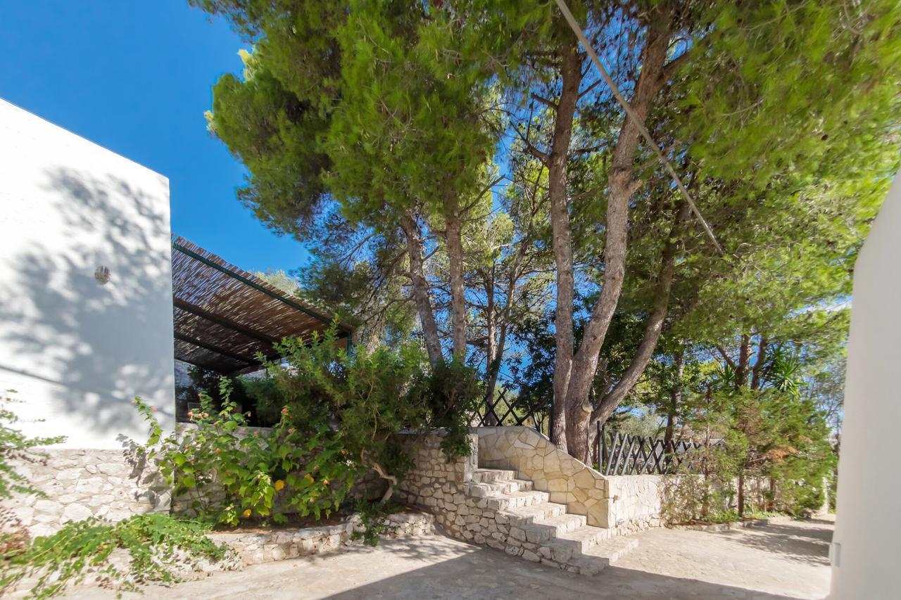 Residenza La Cicala Lägenhet Castro  Rum bild